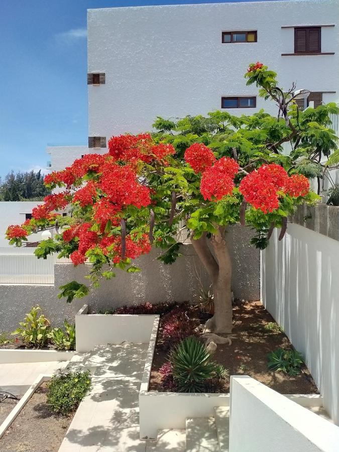 Appartement Bambu à San Agustín Extérieur photo