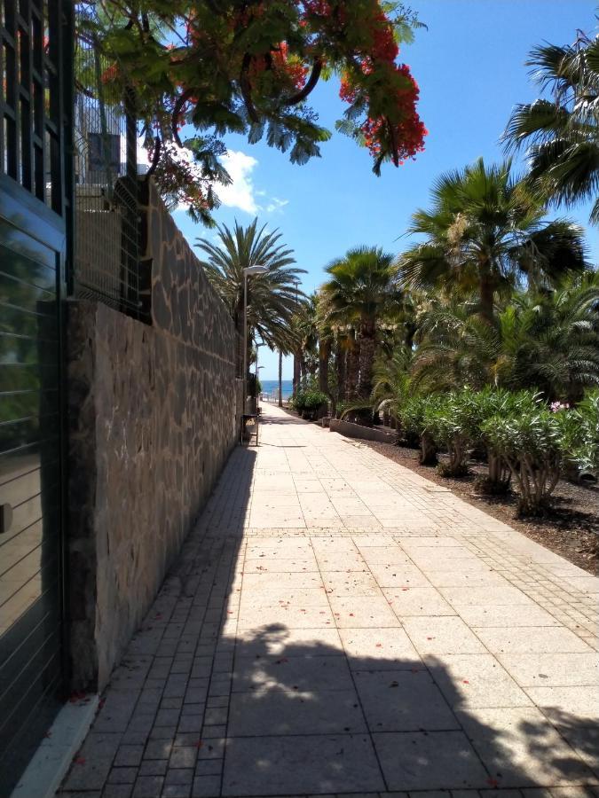Appartement Bambu à San Agustín Extérieur photo